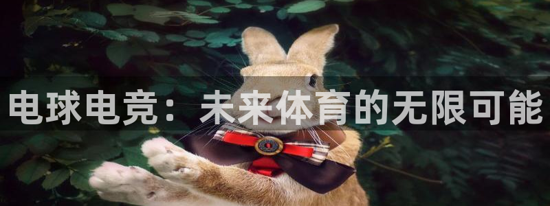 完美电竞直播：电球电竞：未来体育的无限可能