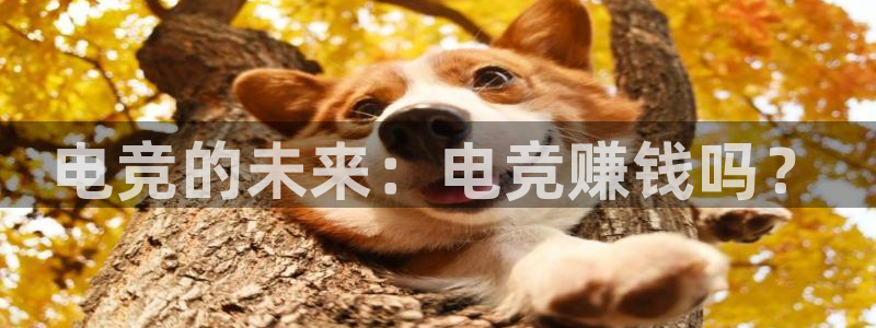 完美电竞下载