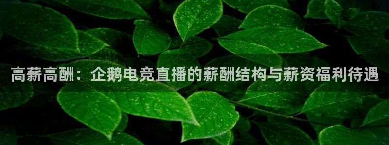 完美电竞平台官网网址