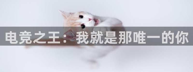 完美电竞世界：电竞之王：我就是那唯一的你