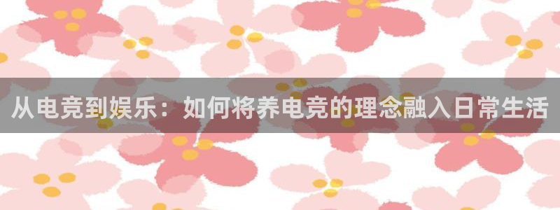 完美电竞查询：从电竞到娱乐：如何将养电竞的理念融入日常生活