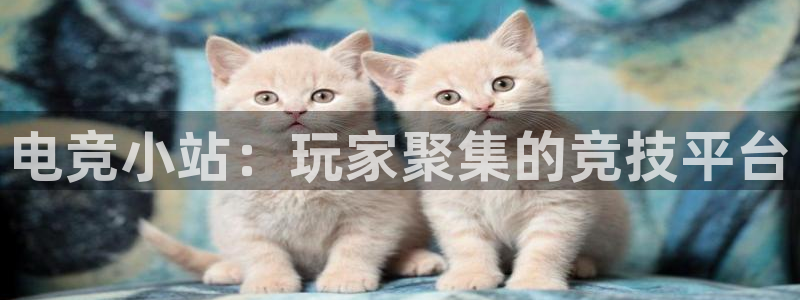 完美电竞竞技平台：电竞小站：玩家聚集的竞技平台
