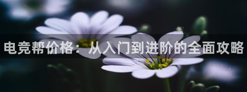 完美电竞大会员：电竞帮价格：从入门到进阶的全面攻略