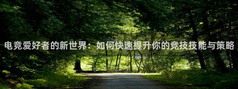 完美电竞查询：电竞爱好者的新世界：如何快速提升你的竞技技能与策略