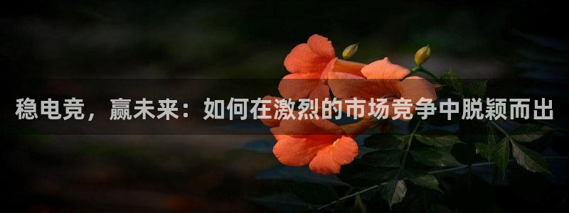 完美电竞对战平台：稳电竞，赢未来：如何在激烈的市场竞争中脱颖而出