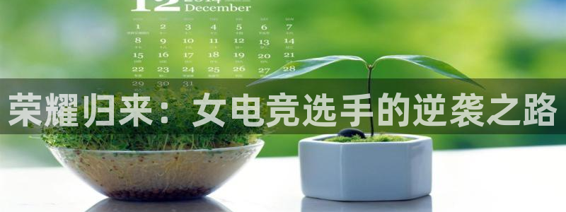 完美电竞世界平台