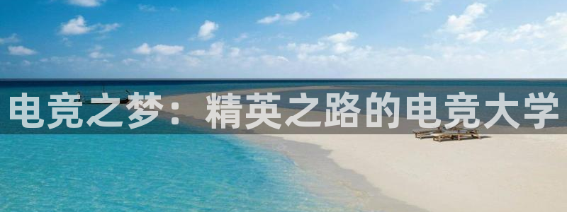 完美电竞|官网