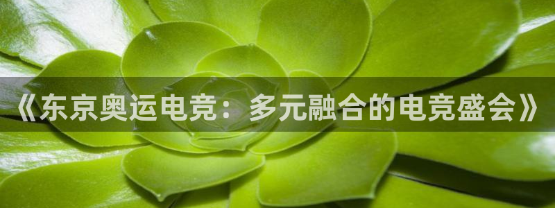 完美电竞世界平台下载
